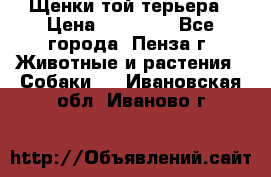 Щенки той терьера › Цена ­ 10 000 - Все города, Пенза г. Животные и растения » Собаки   . Ивановская обл.,Иваново г.